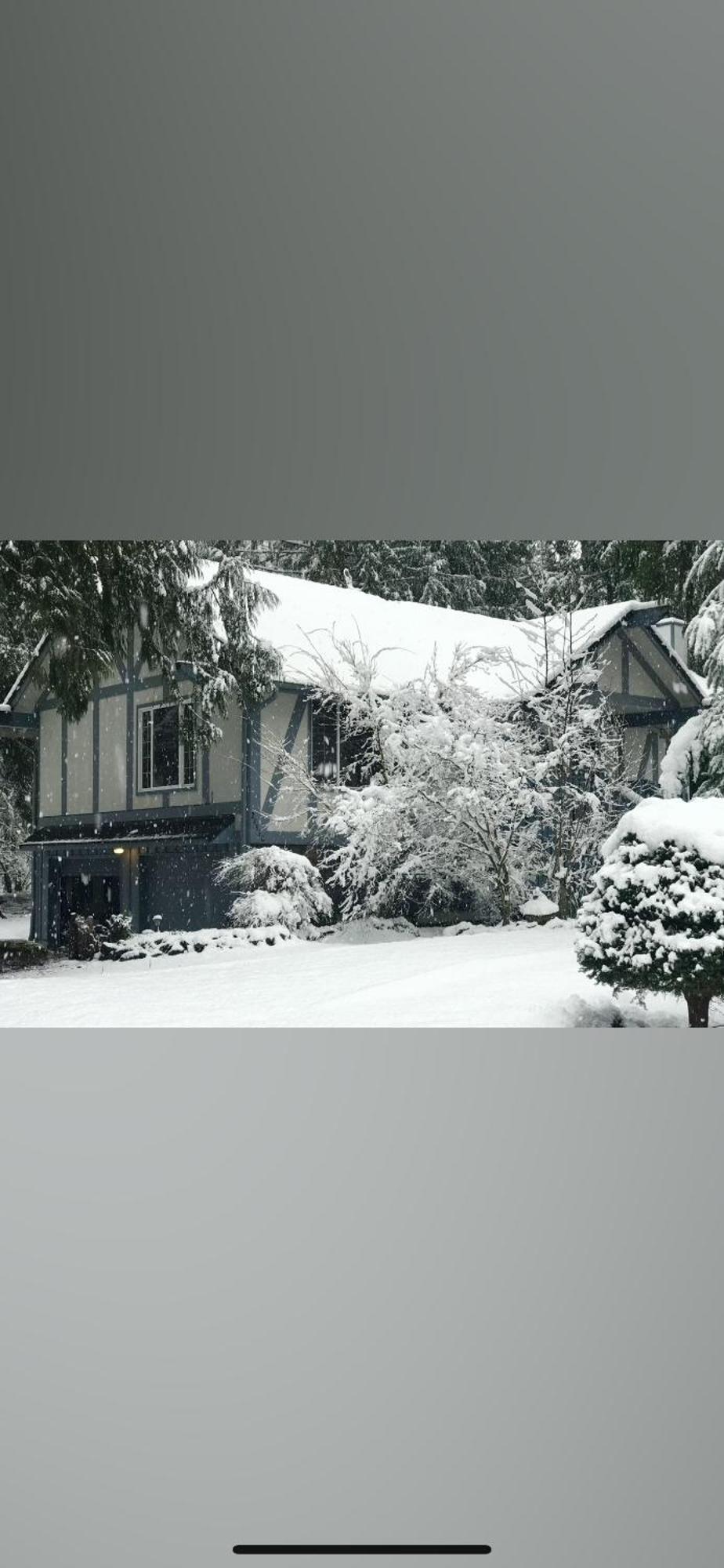 Cozy Bird House W Big Screen! * Mount Hood Village