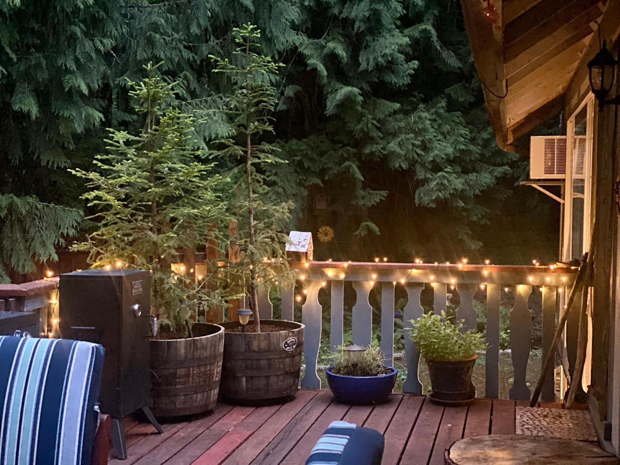 Cozy Bird House W Big Screen! *
